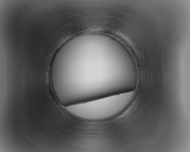 X0000089941409200706290806