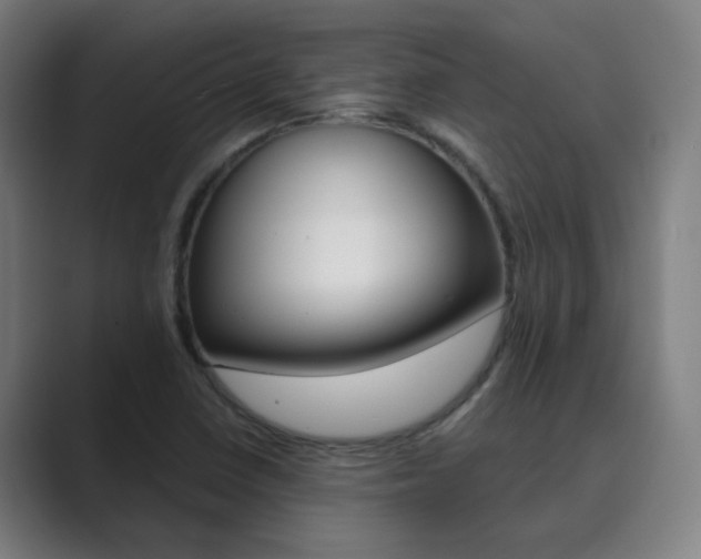 X0000089941410200706290806
