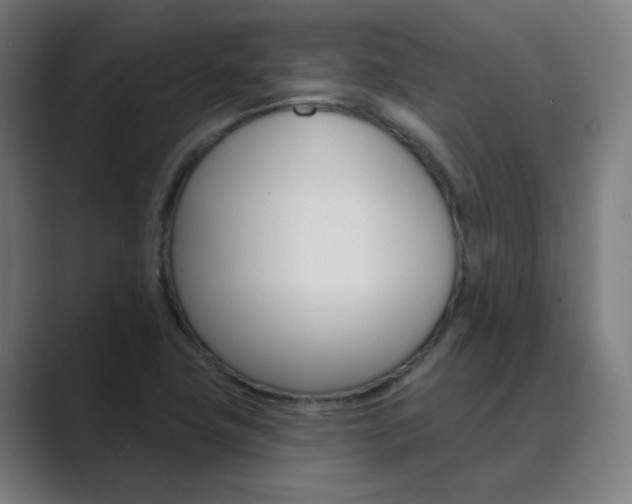 X0000089941411200706290806