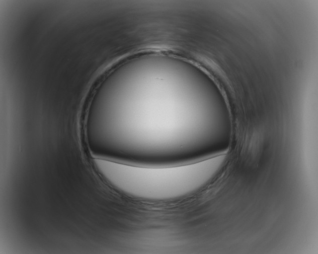 X0000089941412200706290806