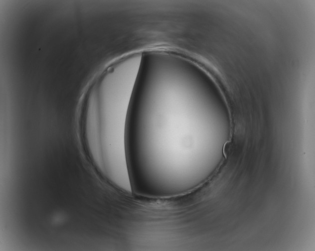X0000089941414200706290806