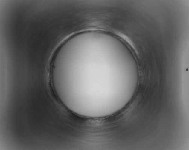 X0000089941415200706290806