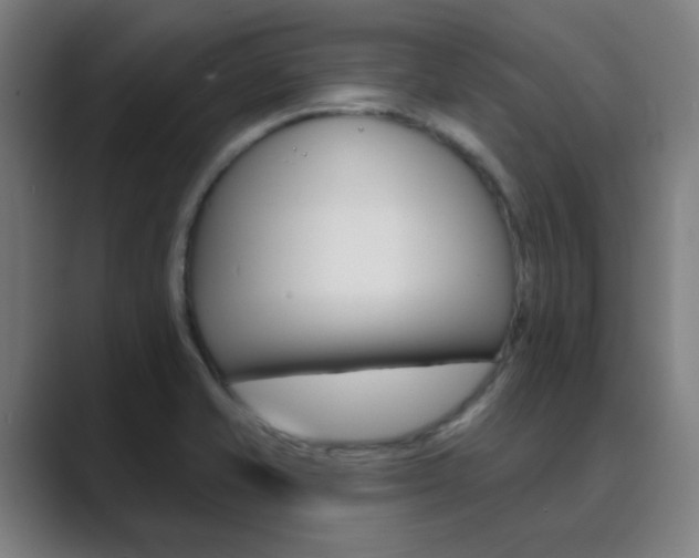 X0000089941421200706290806