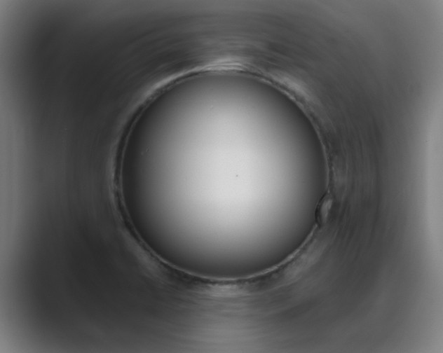 X0000089941422200706290806