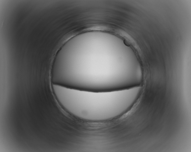 X0000089941425200706290806