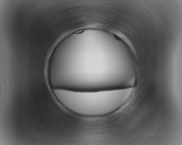 X0000089941429200706290806