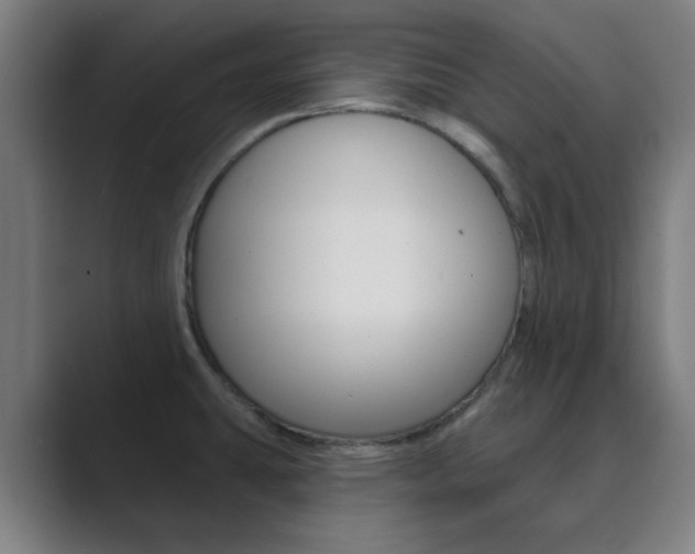 X0000089941431200706290806