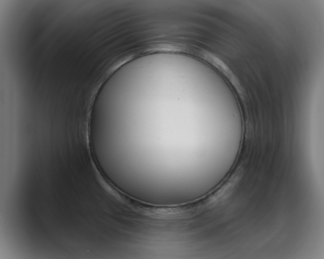 X0000089941433200706290806