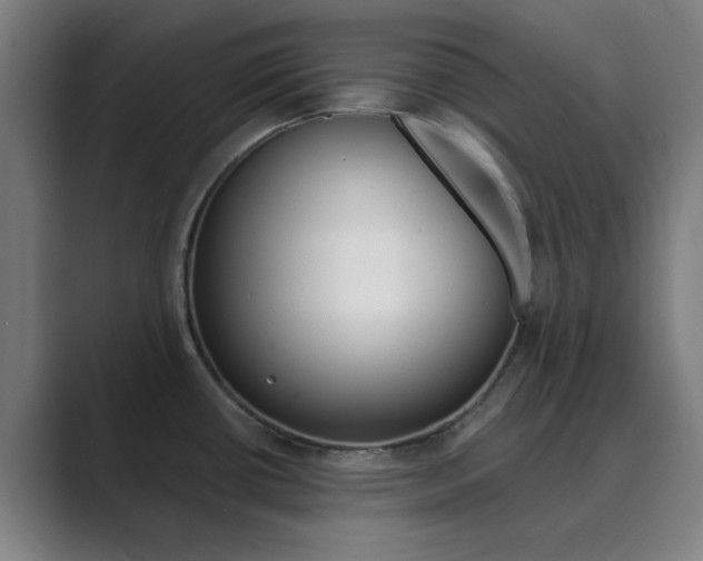 X0000089941434200706290806