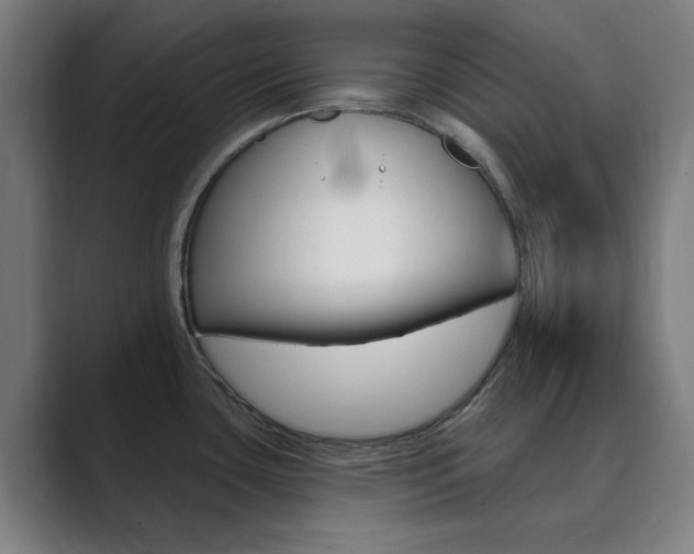 X0000089941435200706290806