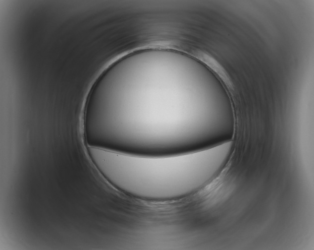 X0000089941436200706290806