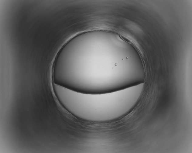 X0000089941439200706290807