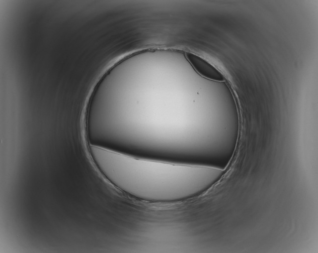 X0000089941440200706290807