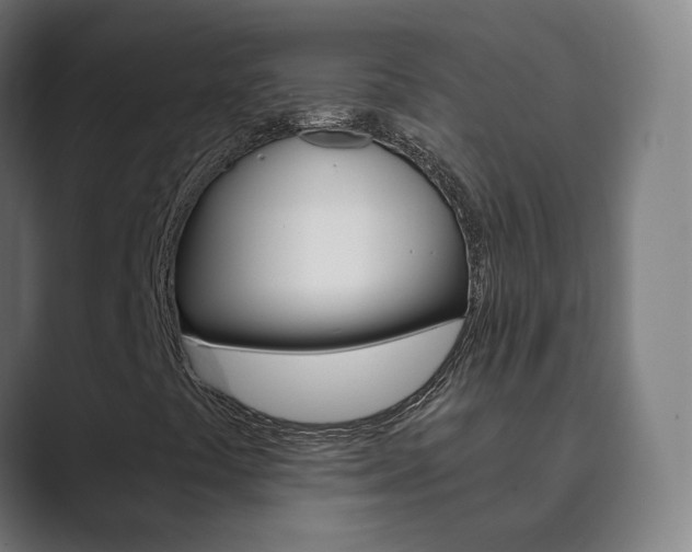 X0000089941441200706290806