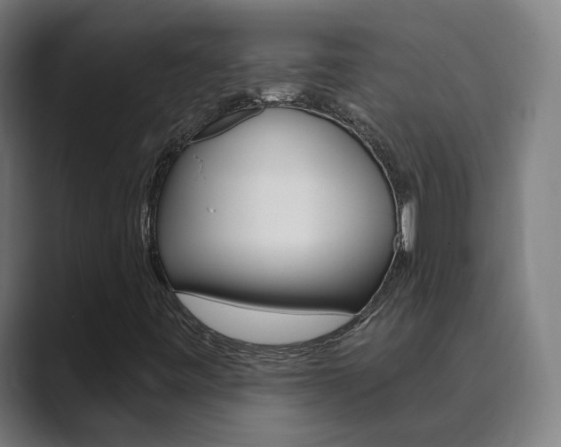 X0000089941443200706290806