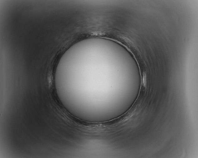 X0000089941444200706290806
