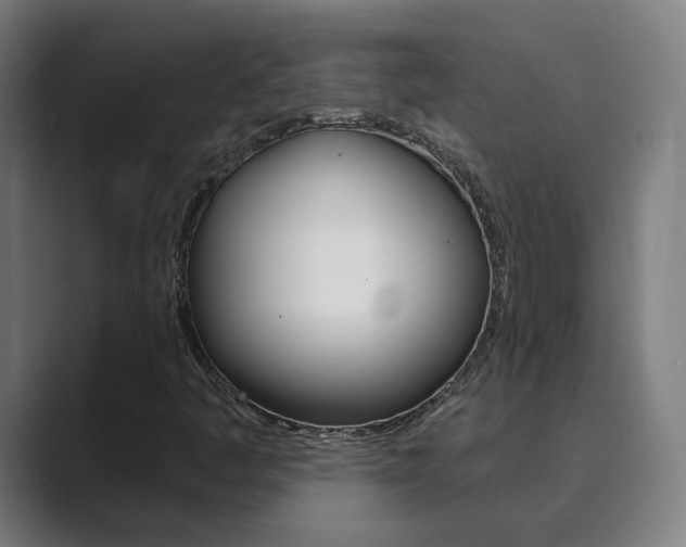 X0000089941445200706290806