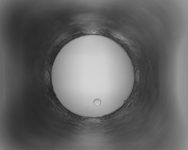 X0000089941446200706290806