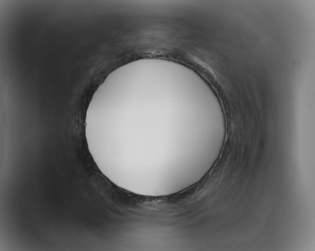 X0000089941447200706290806