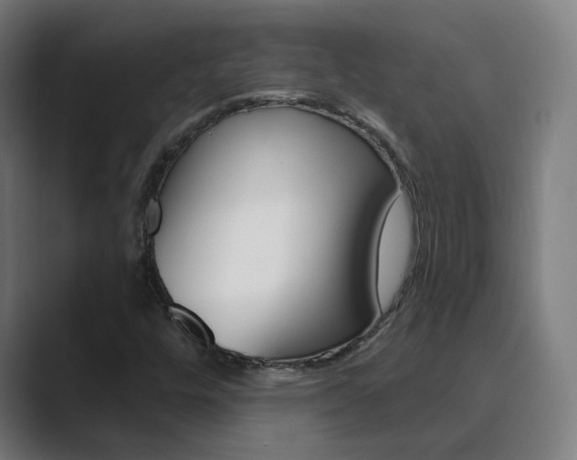 X0000089941448200706290806