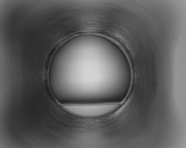X0000089941449200706290806