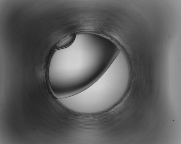 X0000089941450200706290806