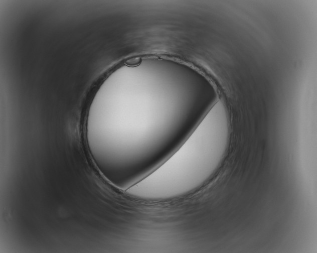X0000089941452200706290806