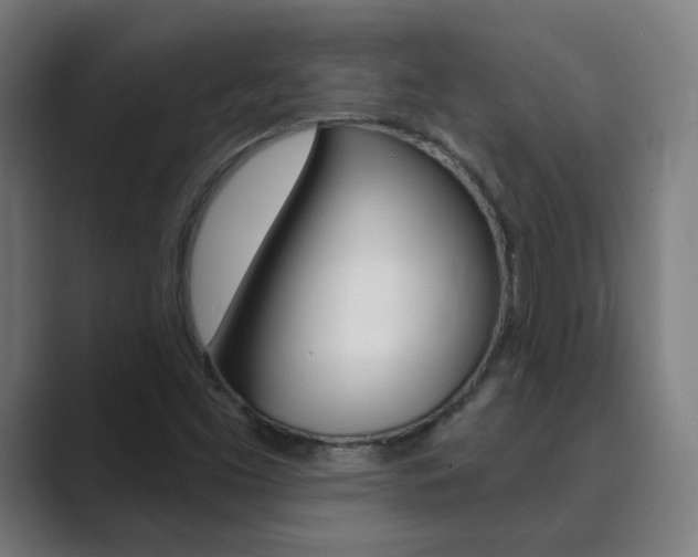 X0000089941453200706290806