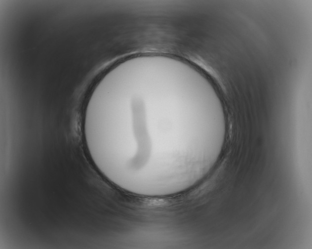 X0000089941454200706290806