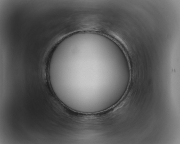 X0000089941455200706290806