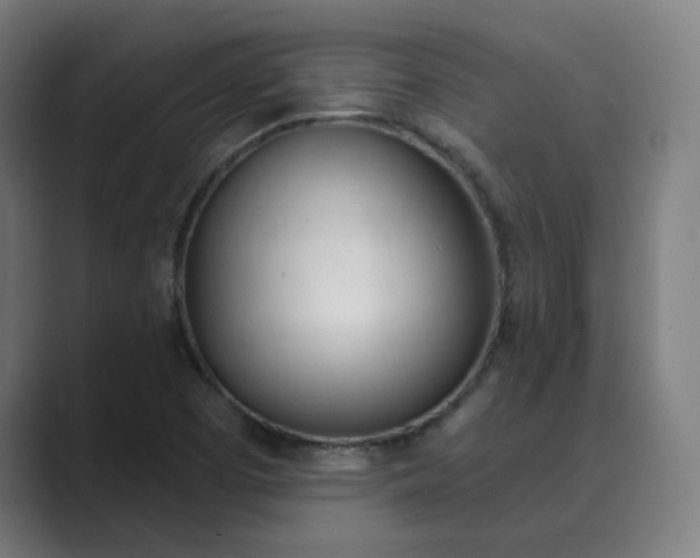 X0000089941457200706290806