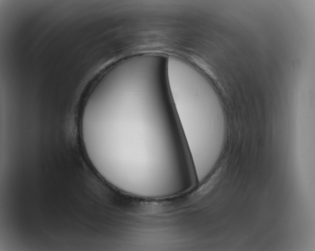 X0000089941458200706290806