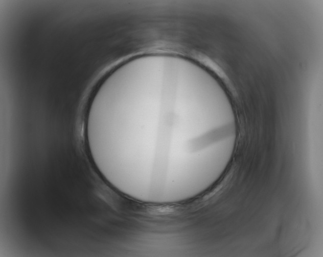 X0000089941462200706290806