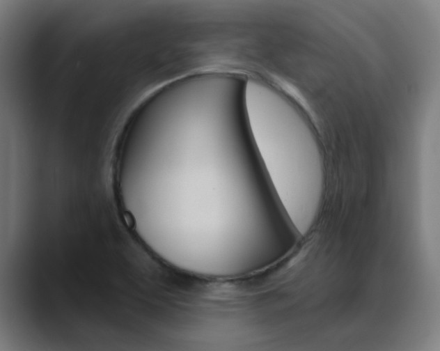 X0000089941463200706290806