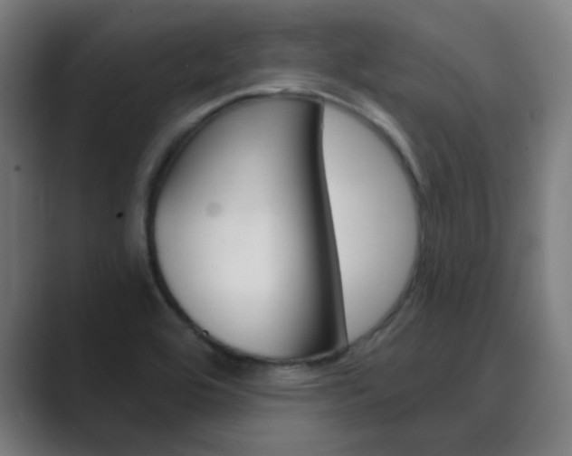 X0000089941464200706290806
