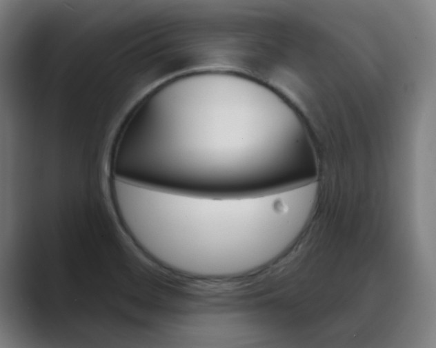 X0000089941468200706290806