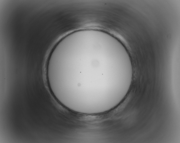 X0000089941470200706290806