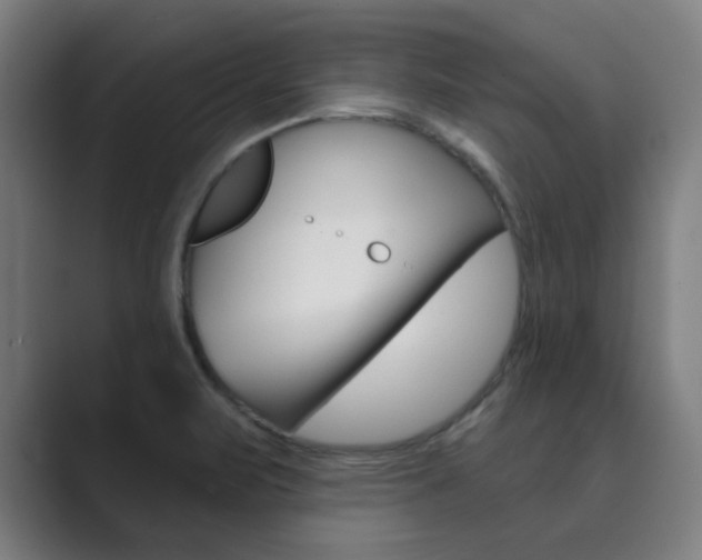 X0000089941471200706290806