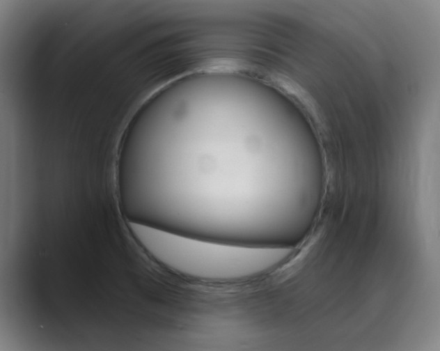 X0000089941473200706290805