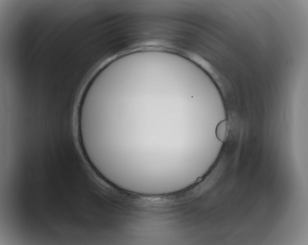 X0000089941474200706290805