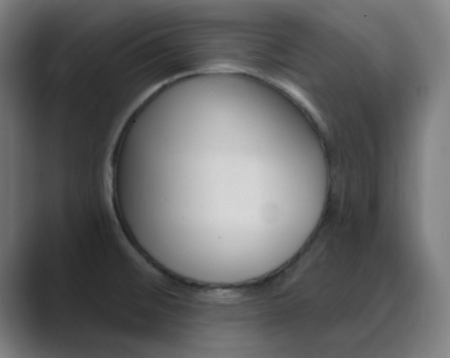 X0000089941476200706290805