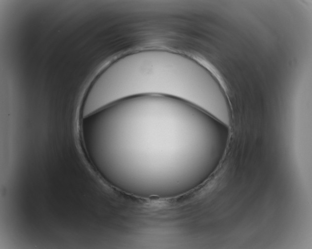 X0000089941477200706290805