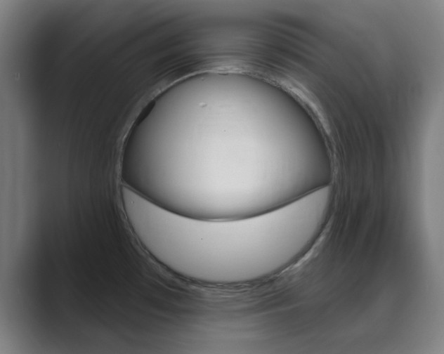 X0000089941481200706290805