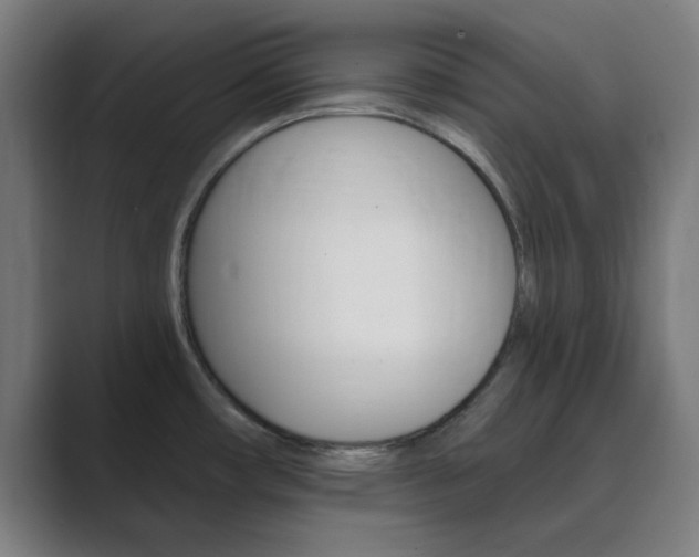 X0000089941482200706290805