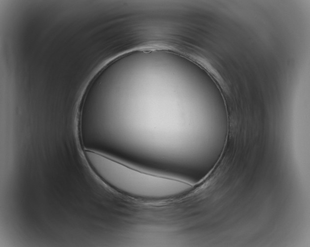 X0000089941484200706290805