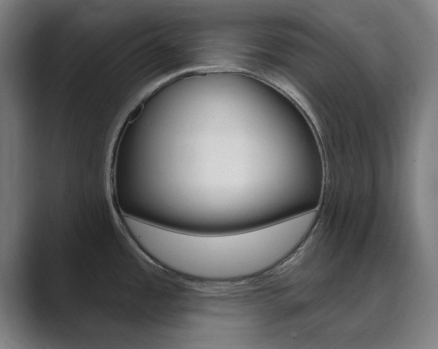 X0000089941485200706290805
