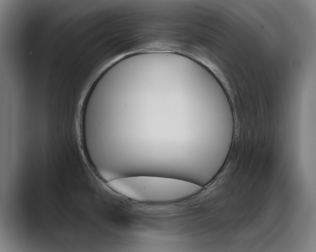 X0000089941486200706290805