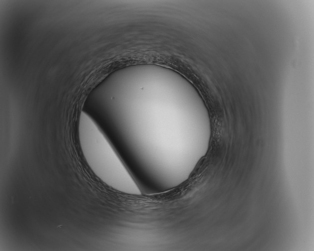 X0000089941489200706290805