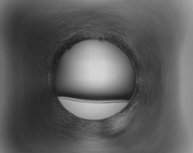 X0000089941490200706290805
