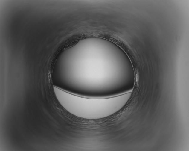 X0000089941492200706290805
